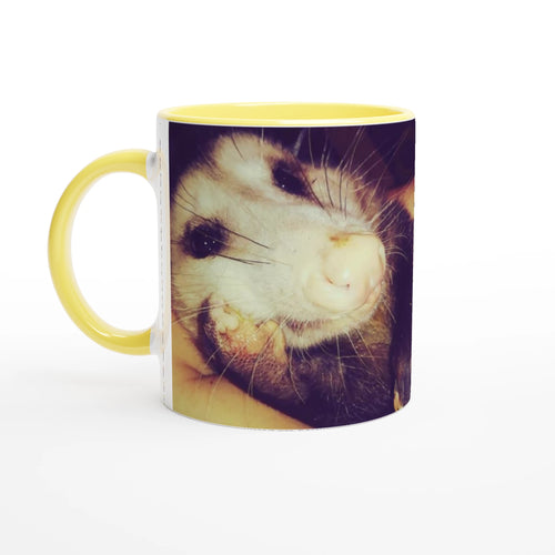 e33d6652-9c0b-4649-90a6-9e9ff2189cfd