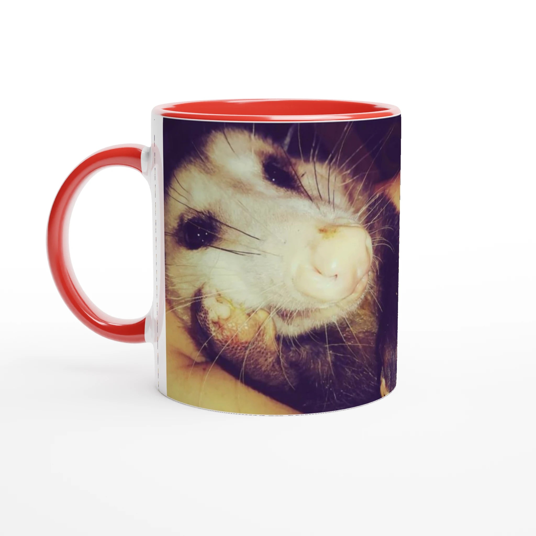 e6cac246-e82a-4910-bd46-8dfabb9b5d6c