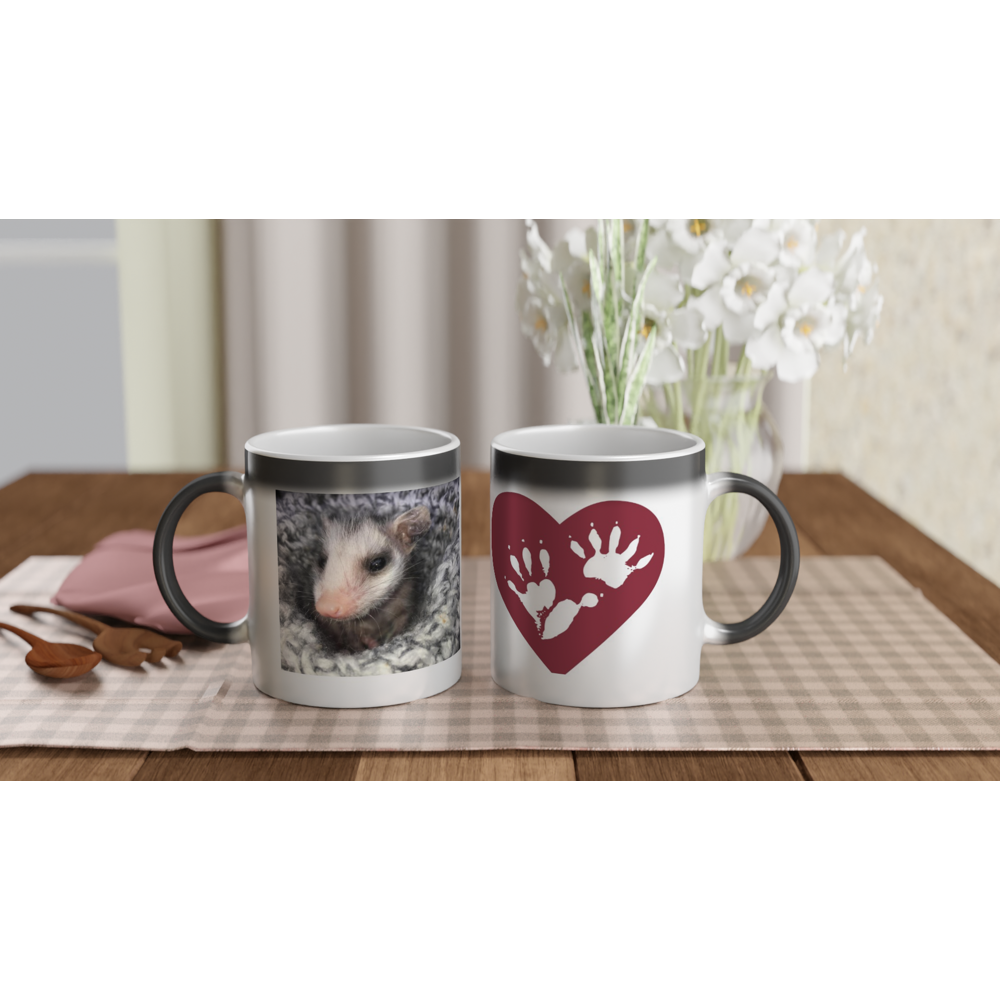 Magic 11oz Ceramic Mug - Opossum Nation Store