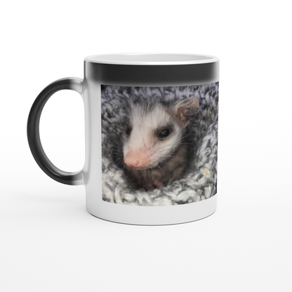 Magic 11oz Ceramic Mug - Opossum Nation Store